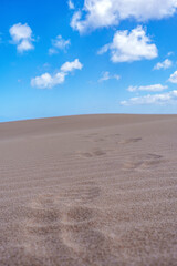Fototapeta na wymiar footsteps on sand dunes