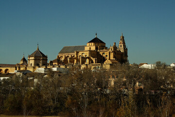 Fototapeta na wymiar Cordoba, Lamezquita, Andalusia ,Spagna