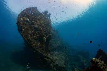 The famous Liberty ship wreck - underwater world of Tulamben, Bali, Indonesia.