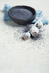 Composition with poppy seeds on gray background.