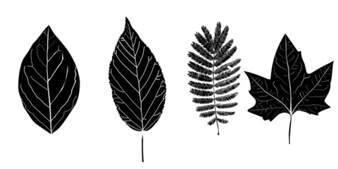 vector illustration of a set of leaf type icon symbols with a black sketch concept on a white background
