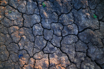 texture desert drought background abstract earth cracked warming global