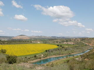 campo amarillo con río