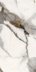 Blanco tranco marble stone background dark golden-grey streaks. white marble glazy and smooth surface. polishing white marble stone that is used to wall tile claddings, flooring, wainscot, vanity. © Kbra