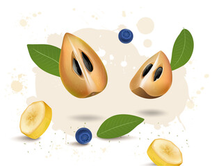 Sapodilla Fruit slices vector illustration with Sapodilla leaves and blueberries 