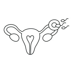 Fertilization thin line icon. Uterus, sperm, insemination. Fertilization in the fallopian tube. Embryology. 
