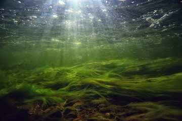 sun rays under water landscape, seascape fresh water river diving