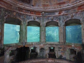 Fototapeta na wymiar aquarium in an old abandoned building