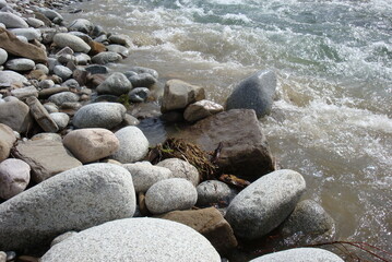 Kamienie przy brzegu rzeki - obrazy, fototapety, plakaty