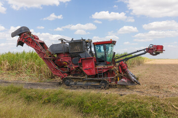 Harvester for sugar cane harvest in Cuba