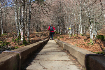 Fototapeta na wymiar Woman hiking through a forest in the Pyrenees