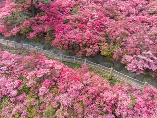 Spring scenery of Huangpi Mulan Yunwu Mountain in Wuhan, Hubei