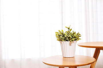段差のあるテーブルと観葉植物