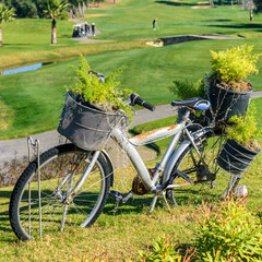 Altes rostiges Fahrrad dient als Blumenkübel auf einer Golfanlage