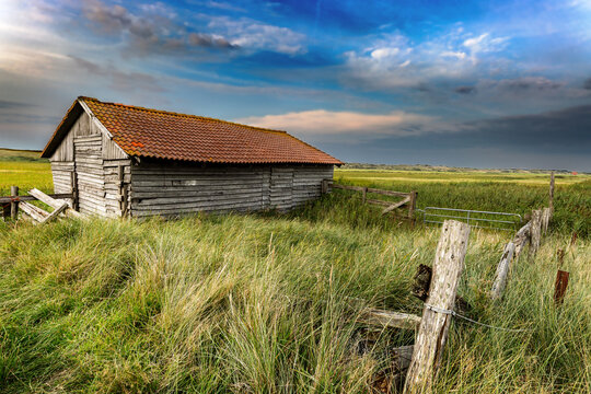 Old barn in the countryside on Juist, East Frisian Islands, Germany.