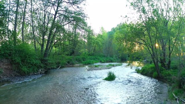 View of a river and riparian forest in summer time. Drone view. Ega river, Navarre, Spain, Europe. 4K.