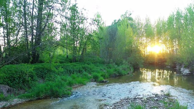 View of a river and riparian forest in summer time. Drone view. Ega river, Navarre, Spain, Europe. 4K.