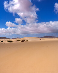 sand dunes in the desert