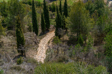 Path of stone slabs through field and mountain