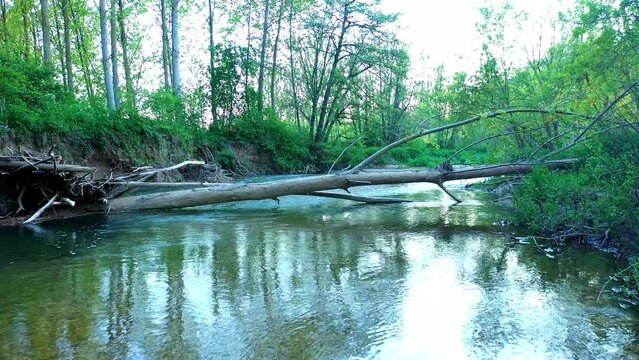 View of a river and riparian forest in summer time. Drone view. Ega river, Navarre, Spain, Europe. 4K.