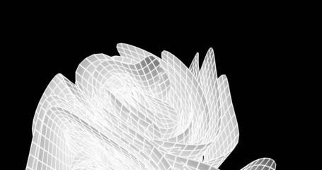 abstract wireframe 3d cloth