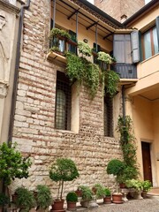 Fototapeta na wymiar Verona, Italy. Old house wall. Fragment of facade of medieval stone wall, decorated with ivy and plants in ceramic pot. Corner house. Selective focus. Vertical