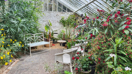 Looking in to a orangery filled with plants and seating