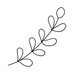 Branch with eucalyptus leaves Illustration