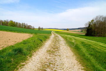 Fototapeta na wymiar beautiful sunlit spring landscape with endless fields of the Bavarian countryside in Winterbach (Germany, Bavaria, Swabia)