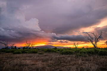 Kenya,Africa, landscape shot of the savannah with clouds in the sunset. Dramatic atmosphere at the...