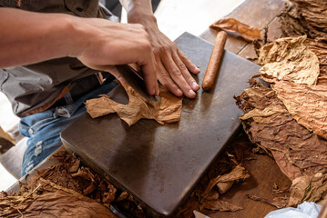 Demonstration of production of handmade cigars. Close up on man hands rolling dried and cured Cuban...