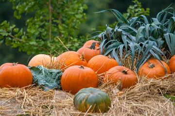 Herbstgemüse