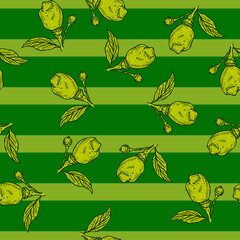 Seamless pattern engraved lemon on branch with leaves. Vintage background lime growing on twig in hand drawn style.