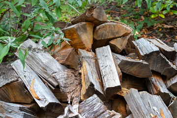Heap of wooden firewood, pieces of old dry wood close-up