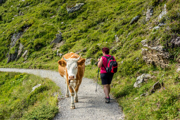 Two passing tourists in the Bernese Oberland region of Switzerland - 501880461