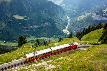 Schynige Platte railway in the Bernese Oberland region of Switzerland - 501880467