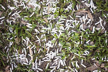 an uncounted number of cigarette butts lies on green grass, a symbol of harm to health and the development of cancer