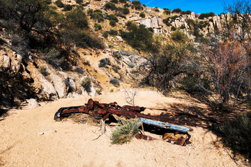 A rusty car wreck in an hiking trail