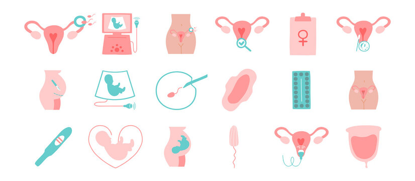 Gynecology and obstetrics icons set. Ultrasound, check up, artificial fertilization, gynecological surgery, birth control pills, menstruation. Ultrasound, artificial fertilization, pregnancy, fetus.