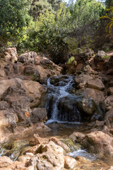 Naklejka na ściany i meble Parod or Farod Falls in northern Israel is a beautiful place to hike in the Winter and Spring. 