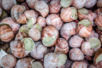 heap of frozen snails in the supermarket