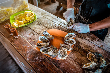 Opening the hollow and flat oysters. Chef opens oysters in the bar