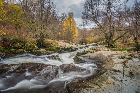 Stunning vibrant landscape image of Aira Force Upper Falls in Lake District during colorful Autumn showing