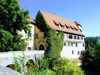 Fototapeta na wymiar castle in the village