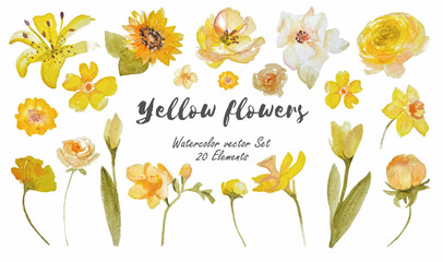 Vector set of yellow watercolor flowers on transparent background