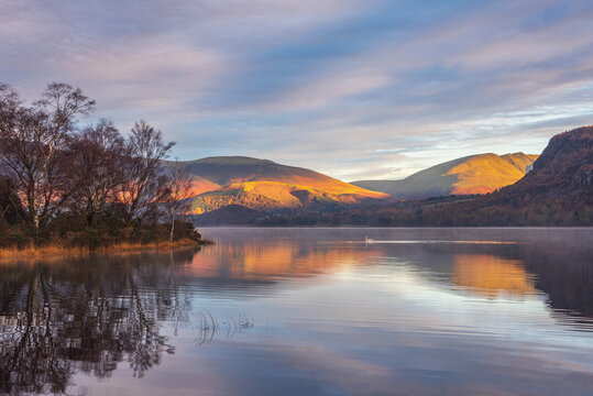 Absolutely stunning vibrant Autumn sunrise landscape image looking from Manesty Park in Lake Distict towards sunlit Skiddaw Range with mit rolling across Derwentwater surface