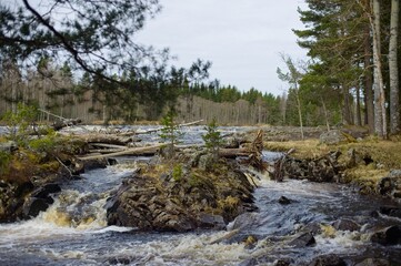 The river Västerdalälven in the woods of Dalarna in Sweden.
