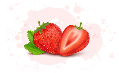 Fresh Delicious Strawberry fruit  vector illustration with half piece of  Strawberry
