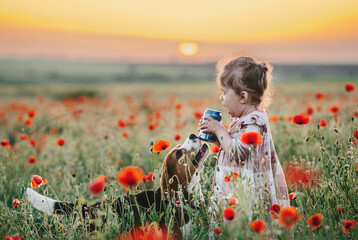 little child playing with dog in the field
