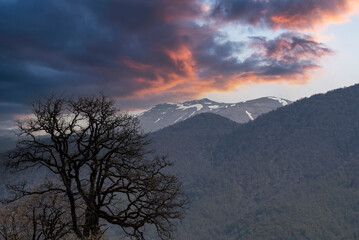 Spring landscape , beautiful sunset forest in the mountains.